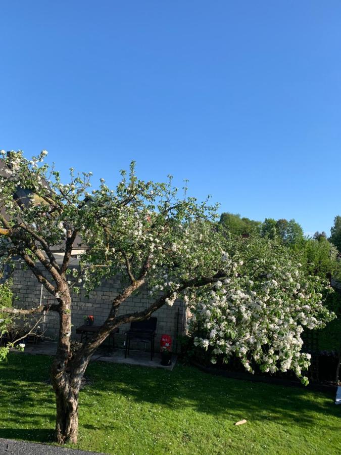 Mooni Cottage Pärnu Exteriör bild